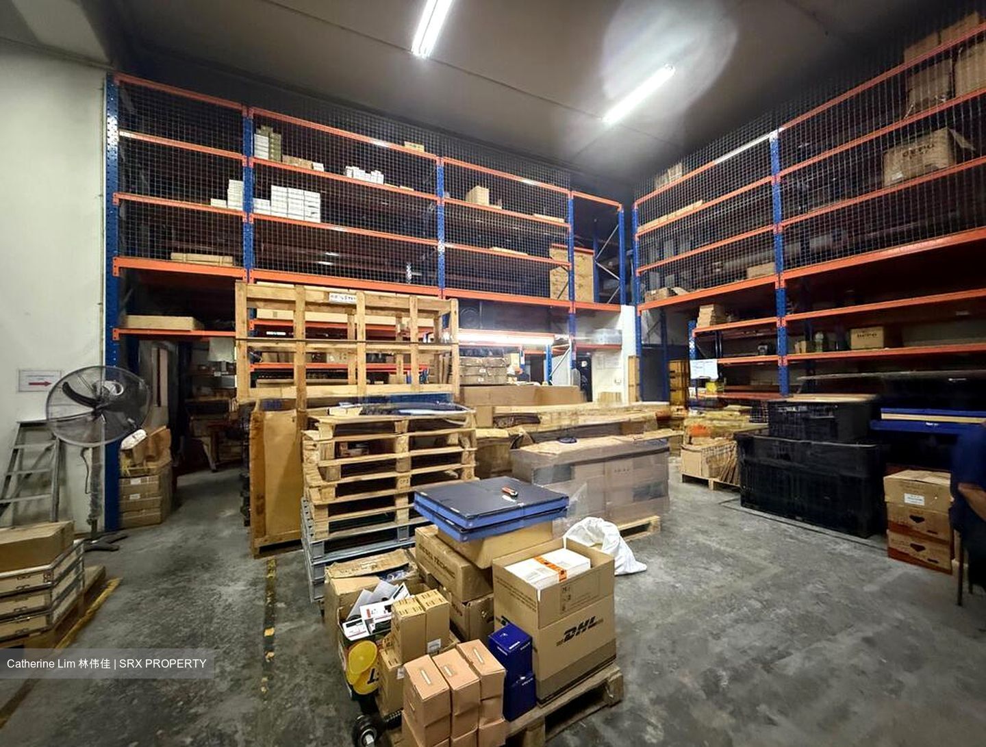 Focus One (D14), Factory #496205431